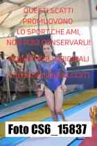 CS6_15837-