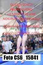 CS6_15841-