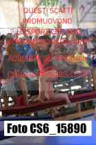 CS6_15890-