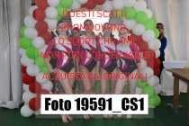 19591_CS1-