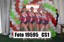 19595_CS1-