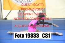 19833_CS1-