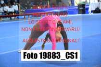 19883_CS1-
