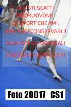 20017_CS1-