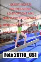 20110_CS1-