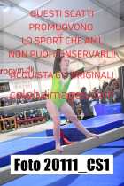 20111_CS1-