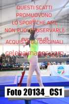 20134_CS1-