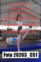 20263_CS1-
