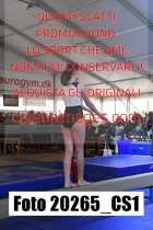 20265_CS1-