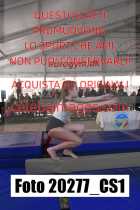 20277_CS1-