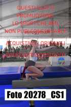 20278_CS1-