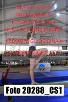 20288_CS1-