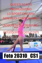 20310_CS1-