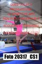 20317_CS1-