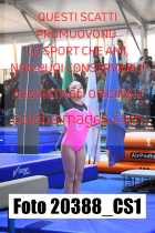 20388_CS1-