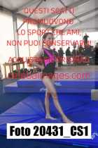 20431_CS1-