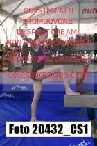 20432_CS1-
