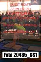 20485_CS1-