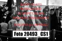 20493_CS1-