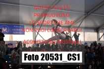 20531_CS1-