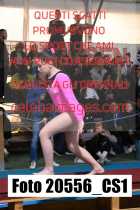 20556_CS1-