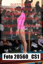 20560_CS1-