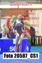 20587_CS1-