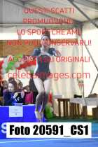20591_CS1-