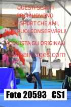 20593_CS1-