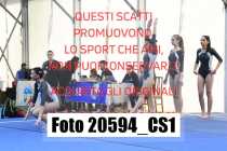 20594_CS1-