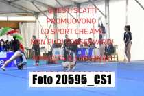 20595_CS1-