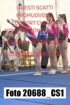 20688_CS1-
