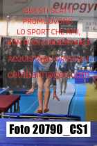20790_CS1-