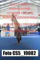 CS5_19082-