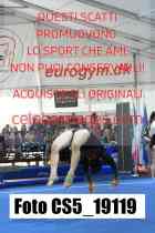 CS5_19119-
