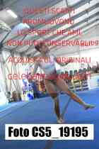 CS5_19195-