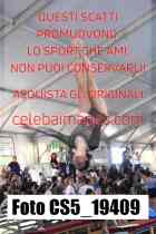 CS5_19409-