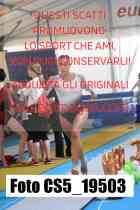 CS5_19503-