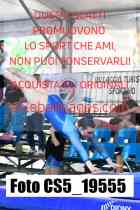 CS5_19555-