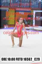 16562_C29-