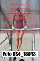CS4_18043-
