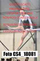 CS4_18081-