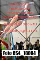 CS4_18084-