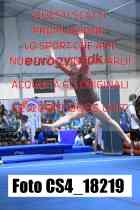 CS4_18219-