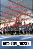 CS4_18238-