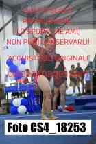 CS4_18253-