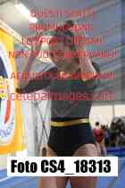 CS4_18313-
