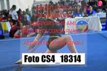 CS4_18314-