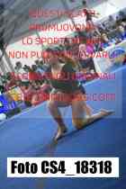 CS4_18318-