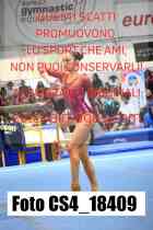 CS4_18409-